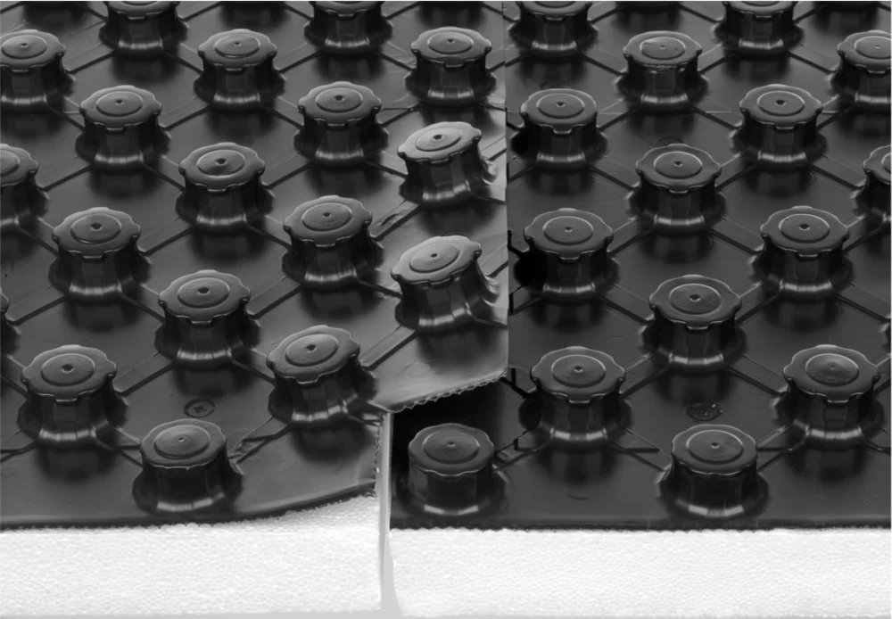 DE CE SA ALEGI PLACA CU NUTURI ASSENS?